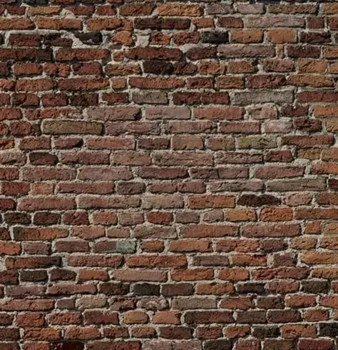 معرفی خدمات پتینهکاری و طراحی دیوار داخلی معرفی خدمات پتینهکاری و طراحی دیوار داخلی